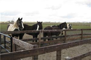 paardenstallen hoekopstelling